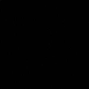 Meet your Posher, Daisy